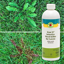 Iron X!™ Selective Weed Killer For Lawns 16oz